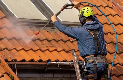 Démoussage et hydrofuge de toiture à Pointre